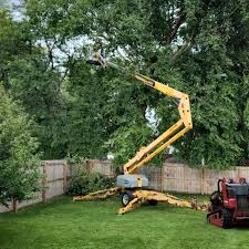 Reliable Southwest Sandhill, TX  Tree Services Solutions